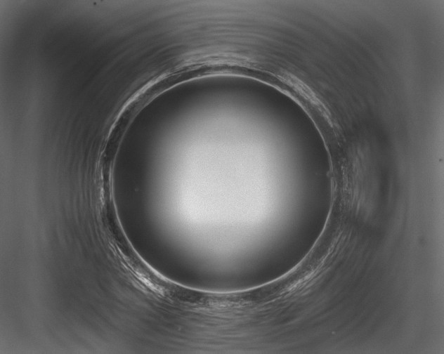 X0000084550782200702231204