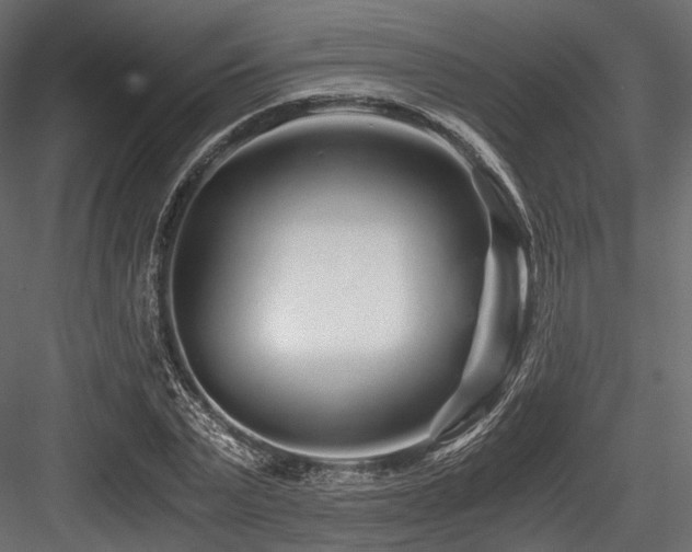X0000084550783200702231204