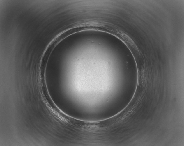 X0000084550784200702231204