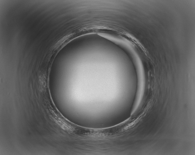 X0000084550785200702231204