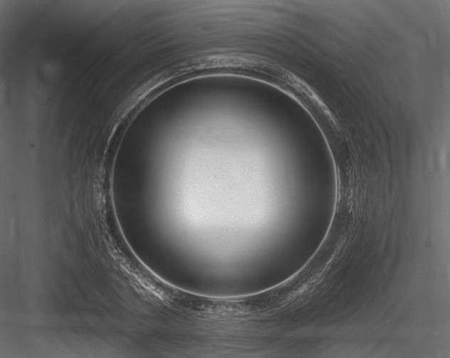 X0000084550786200702231204