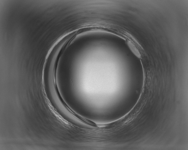 X0000084550788200702231204