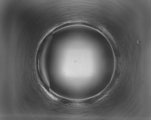 X0000084550789200702231204