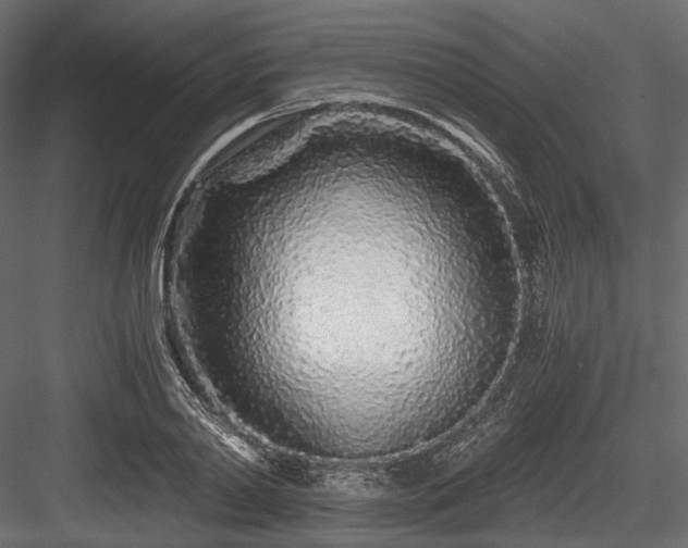 X0000084550790200702231204