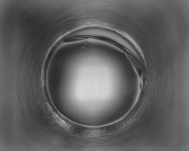 X0000084550791200702231204