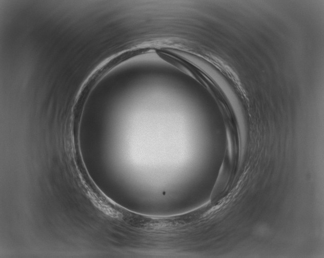 X0000084550792200702231204