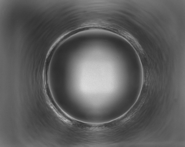 X0000084550796200702231204