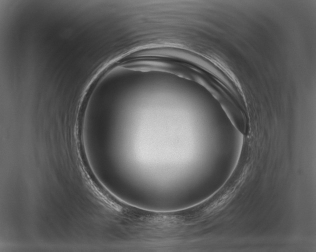 X0000084550797200702231204