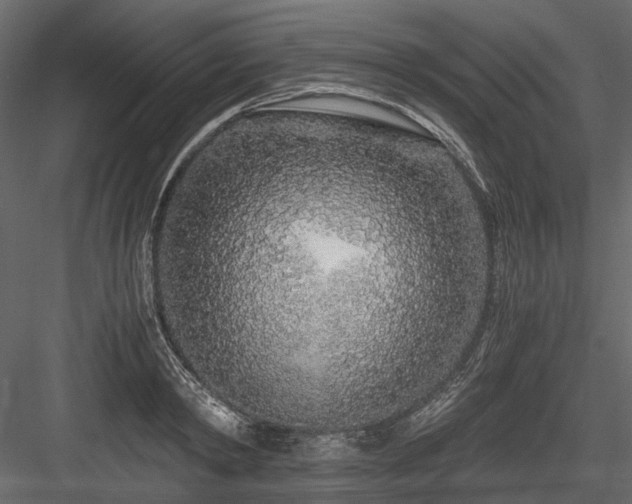 X0000084550798200702231204