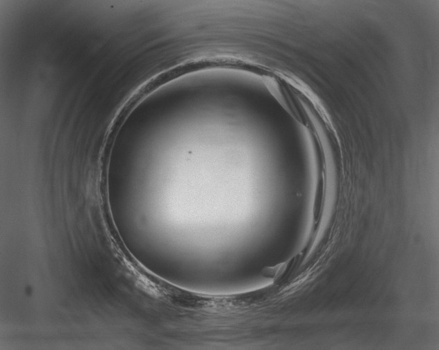 X0000084550799200702231204