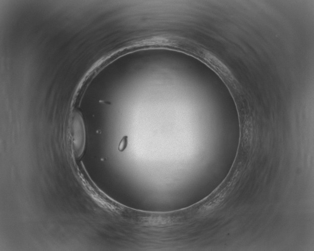 X0000084550800200702231204