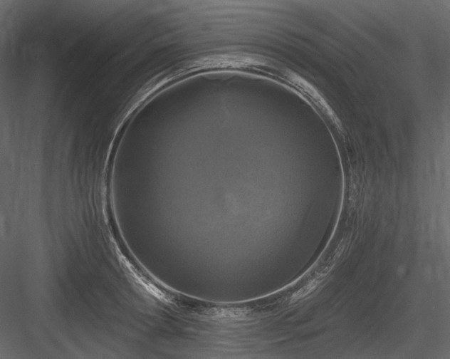 X0000084550802200702231204