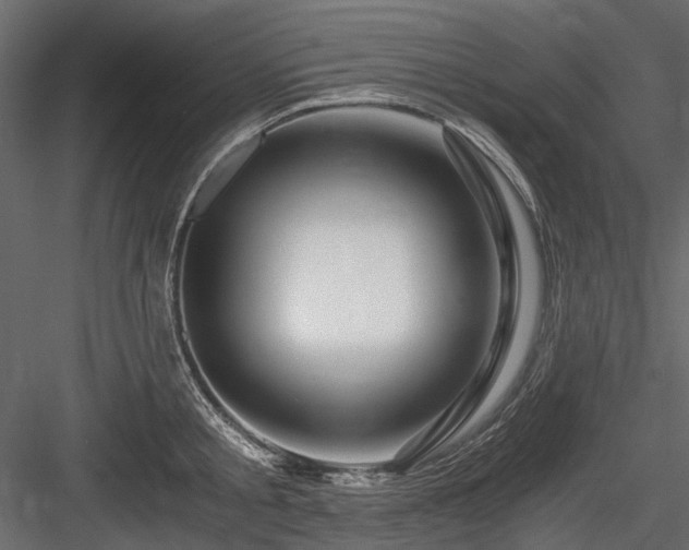 X0000084550805200702231204