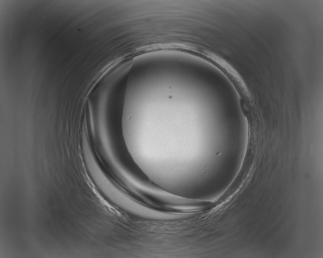 X0000084550809200702231204