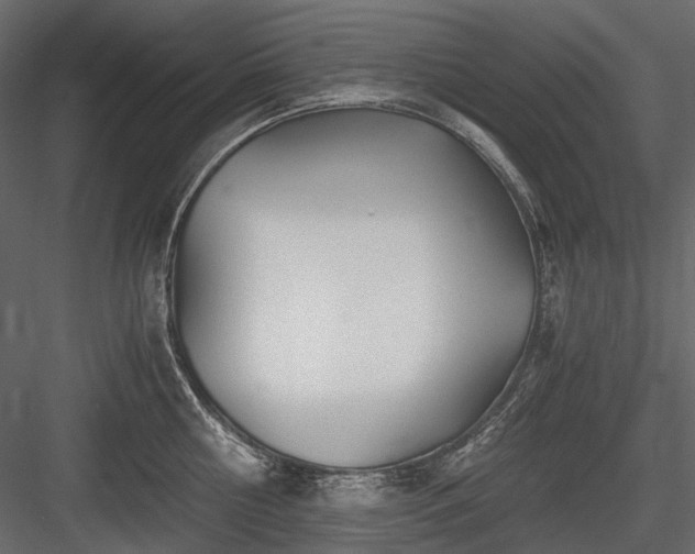 X0000084550810200702231203