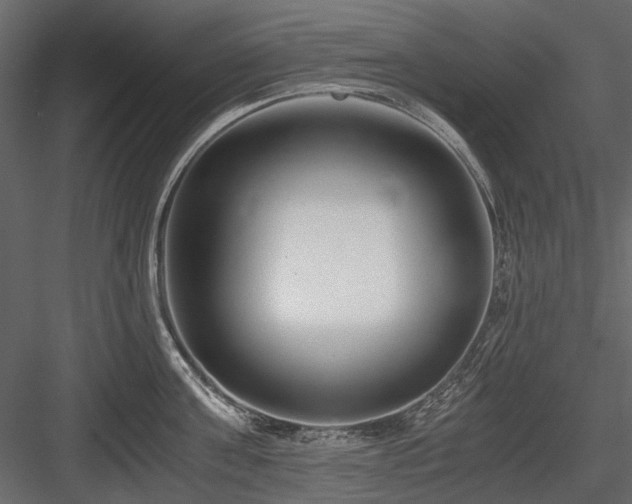 X0000084550811200702231203