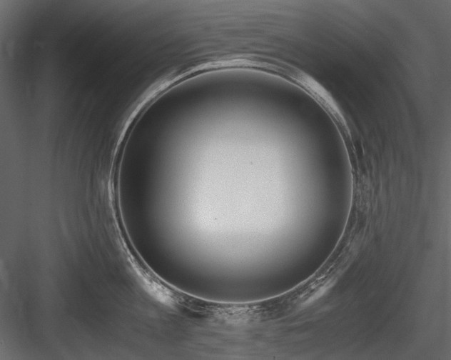 X0000084550813200702231203