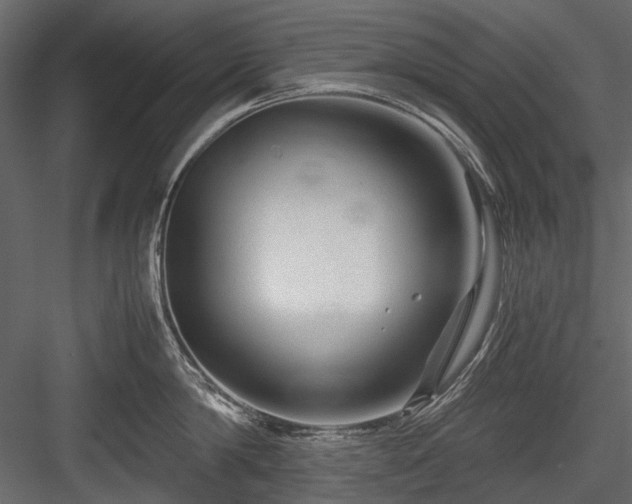 X0000084550814200702231203