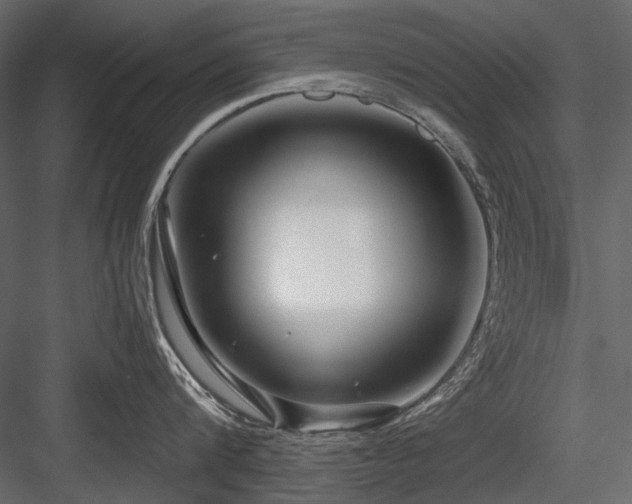 X0000084550816200702231203