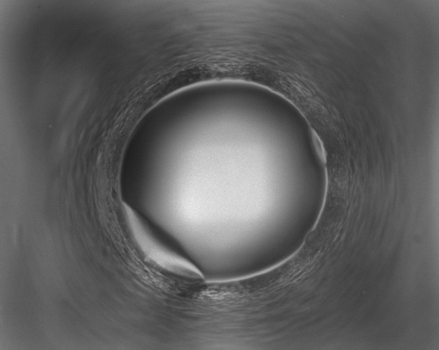 X0000084550817200702231202