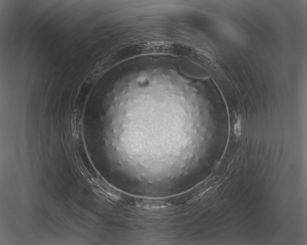 X0000084550819200702231202