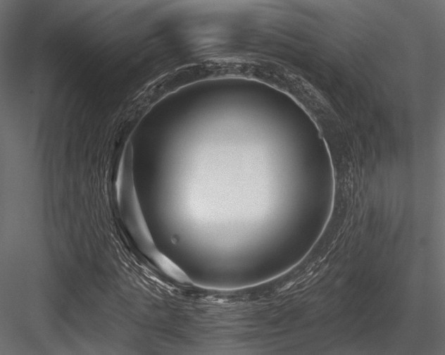 X0000084550821200702231203