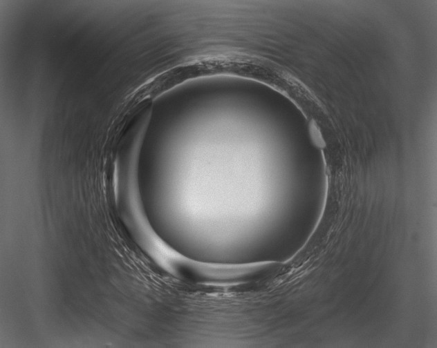 X0000084550822200702231203