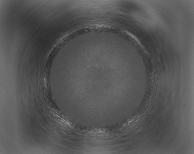 X0000084550823200702231203