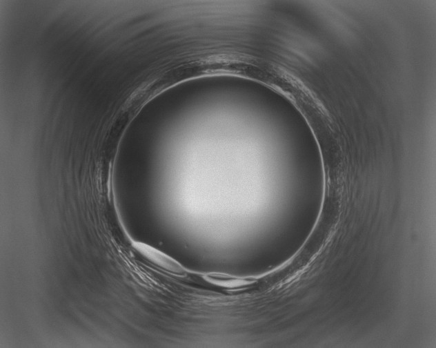 X0000084550825200702231203
