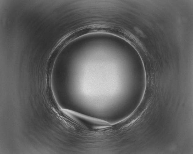X0000084550829200702231203