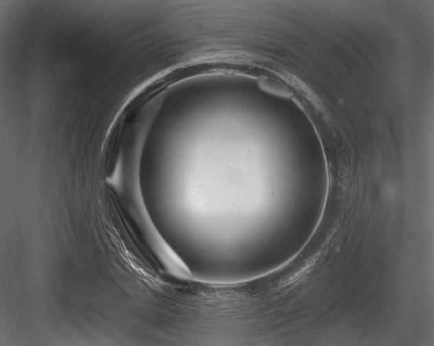 X0000084550830200702231203