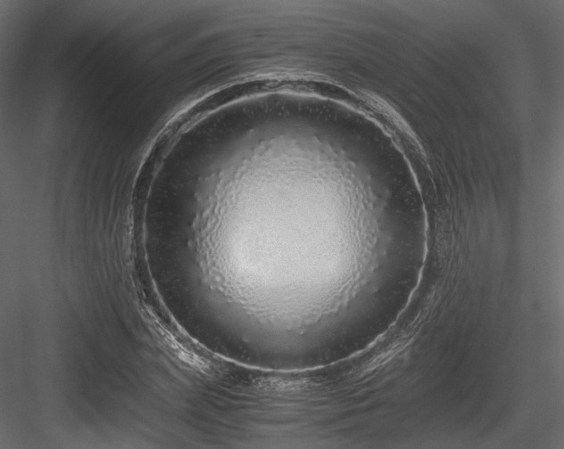 X0000084550831200702231203