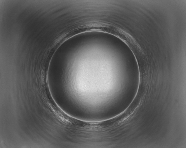 X0000084550833200702231203