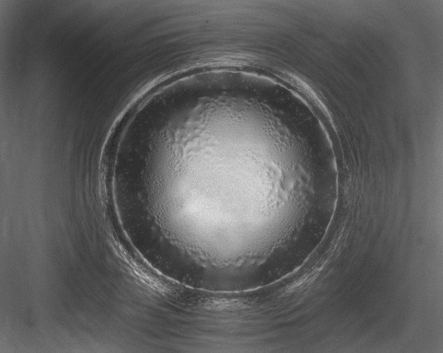 X0000084550835200702231203