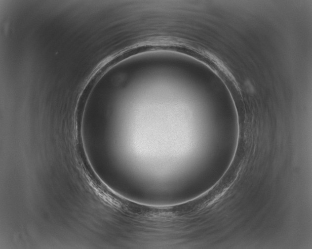 X0000084550837200702231203