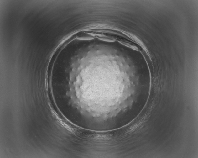 X0000084550839200702231203