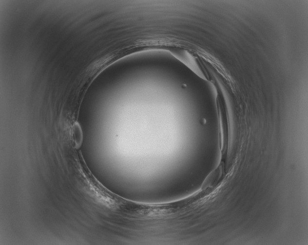 X0000084550841200702231203
