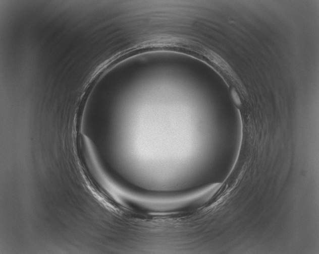 X0000084550842200702231203