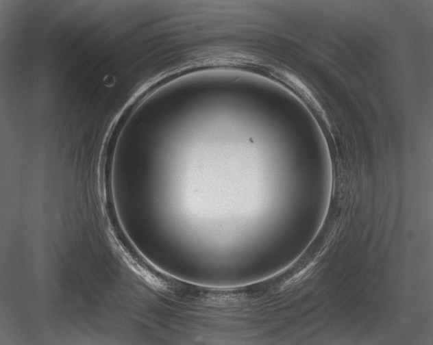 X0000084550843200702231203