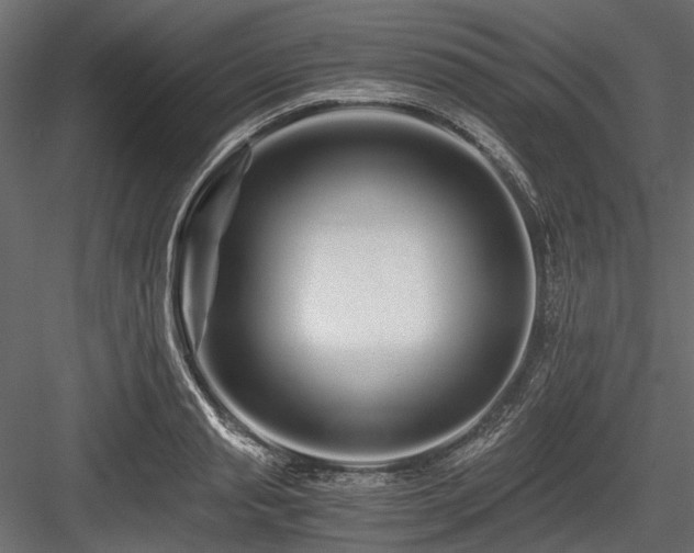 X0000084550845200702231203