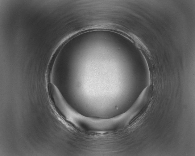 X0000084550846200702231203