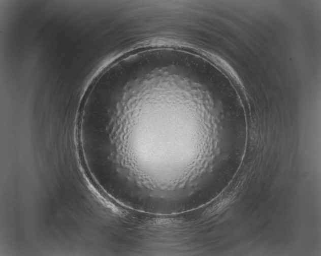 X0000084550847200702231203