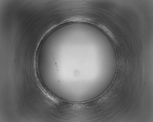 X0000084550848200702231203