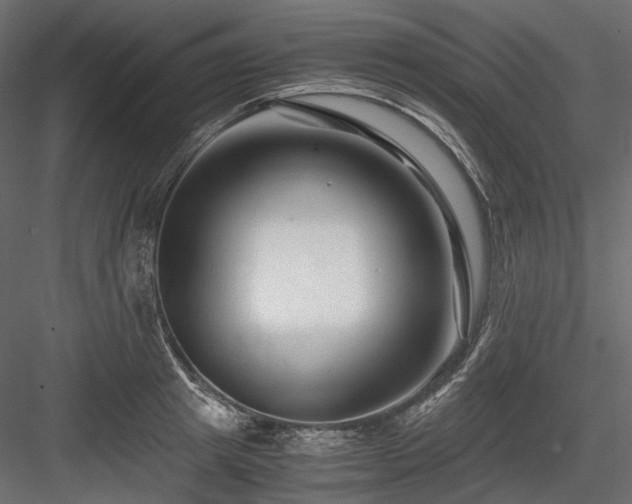 X0000084550849200702231203