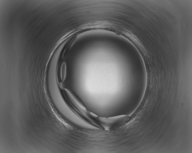 X0000084550850200702231203