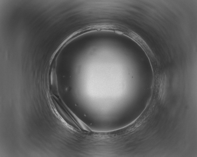 X0000084550852200702231203
