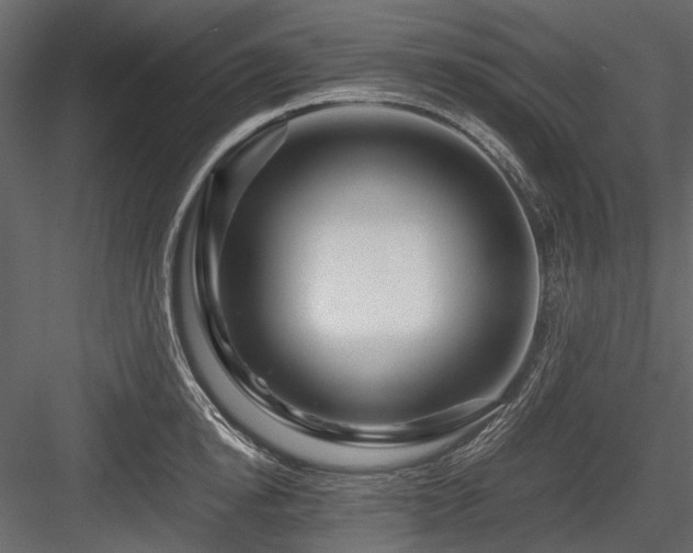 X0000084550854200702231203