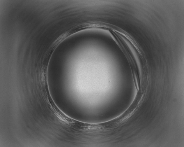 X0000084550857200702231203