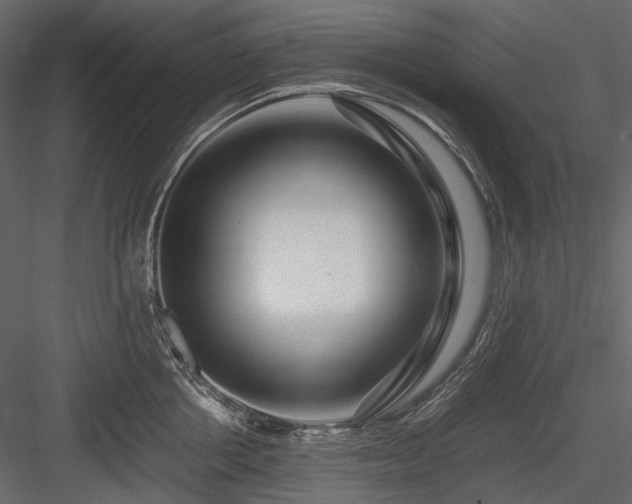 X0000084550858200702231203