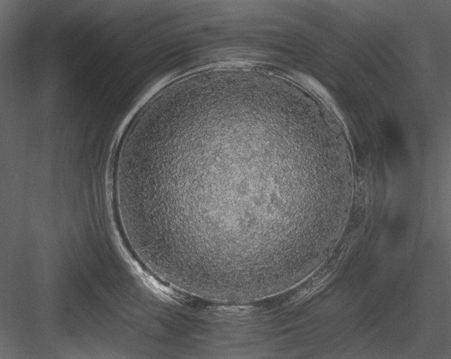 X0000084550859200702231203